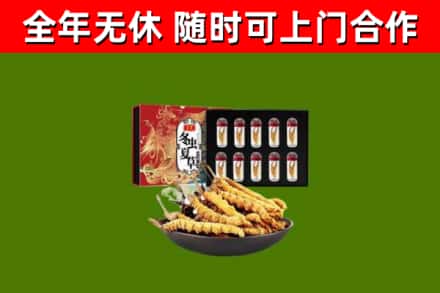 英吉沙烟酒回收冬虫夏草礼盒.jpg